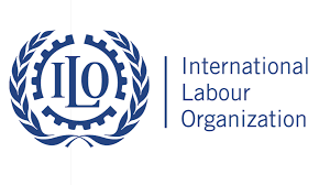                                             International Labour Organization (ILO)(ILO in Vavuniya)